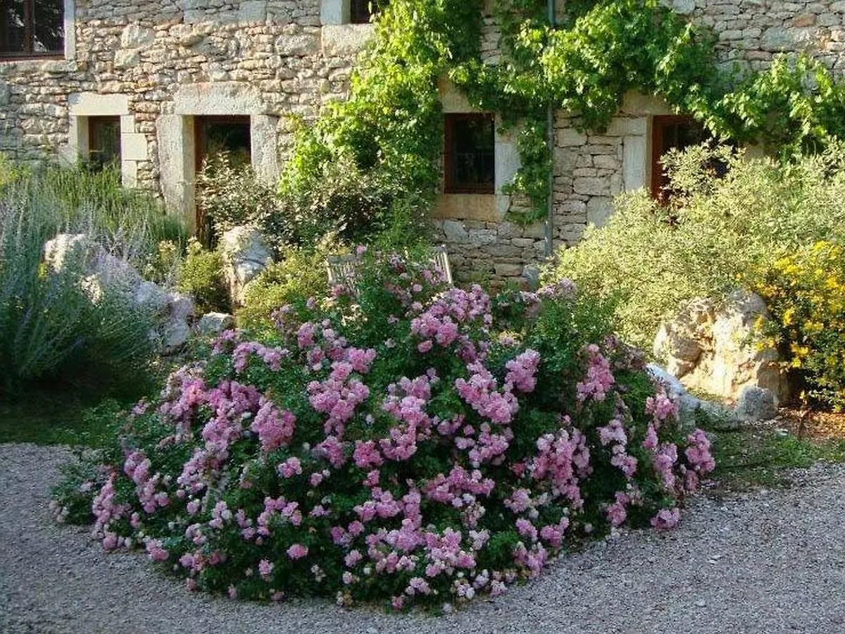 Chambres Et Jardin De Pierres Espédaillac Bed & Breakfast